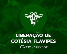 Banner publicidade-