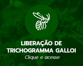 Banner publicidade-